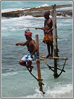 Stilt Fishermen