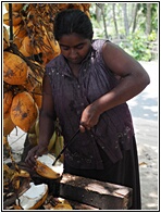 Cutting Coconuts