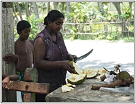 Jackfruit