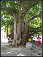 Court Square