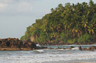 Fotos de Sri Lanka