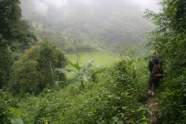 Rice Valley
