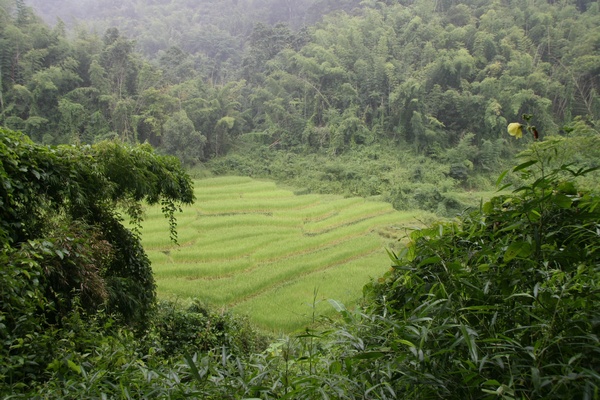 Northern Landscape