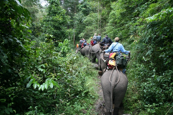 Elephant Ride