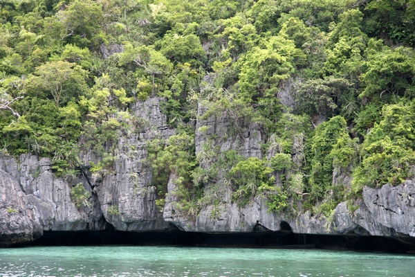 Limestone Cliff