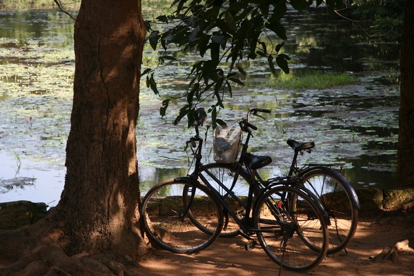Bicycles