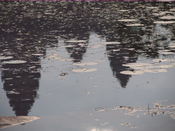 Reflects