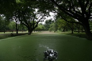 Sukhothai Landscape