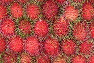 Rambutan
