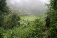 Rice Valley