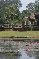 Library and Pond