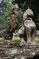 Naga and Lion