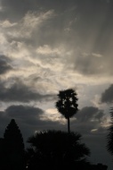 Cloudy Sunrise