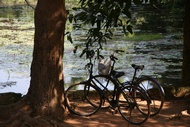 Bicycles