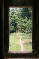 Magic Window