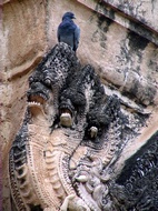 Nagas at Sukhothai