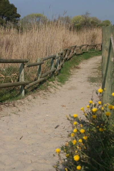 Paisaje Mediterrneo