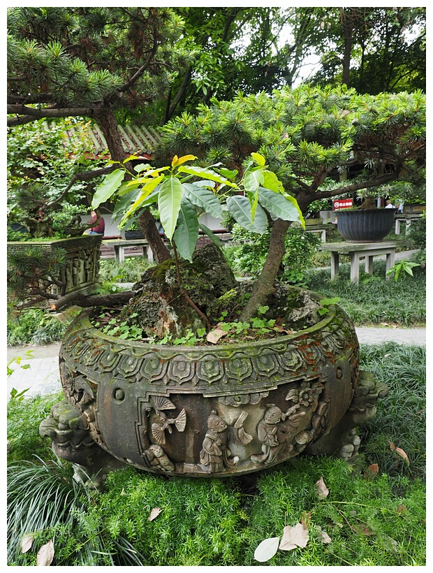 Renmin Park