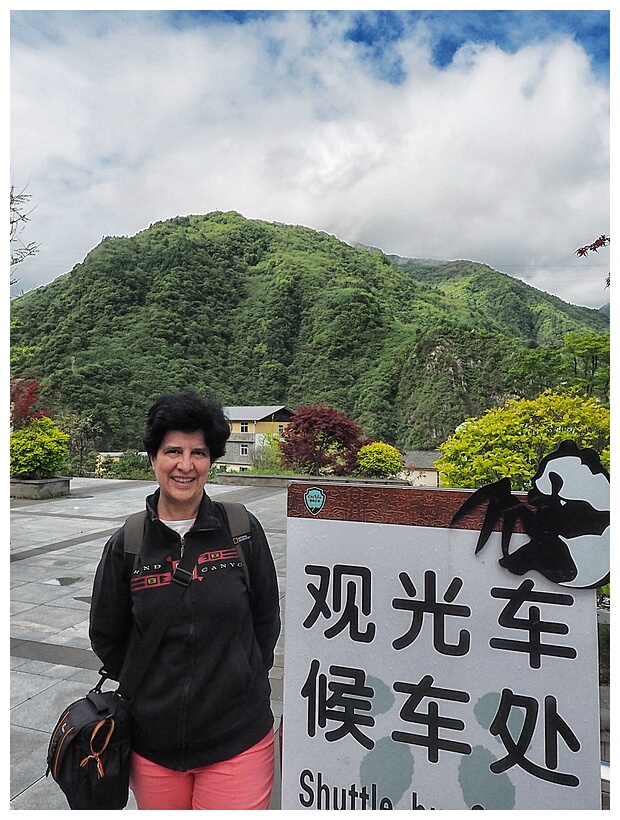 Wolong Panda Research Center