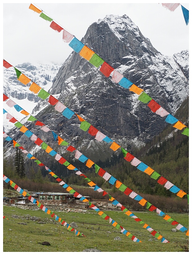 Siguniangshan National Park