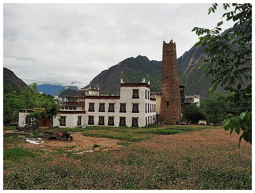 Tibetan Style House 