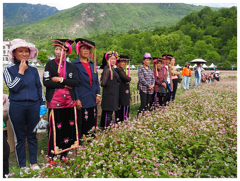 Zhonglu Village