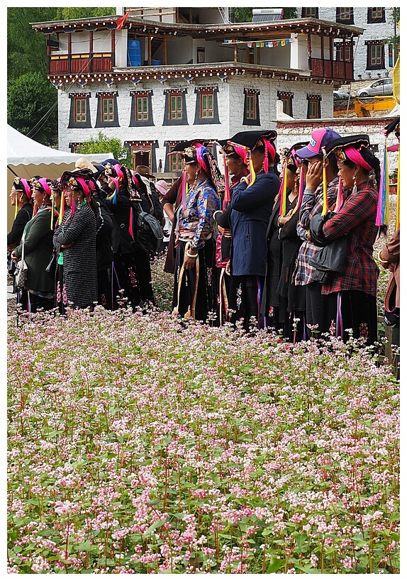 Zhonglu Village