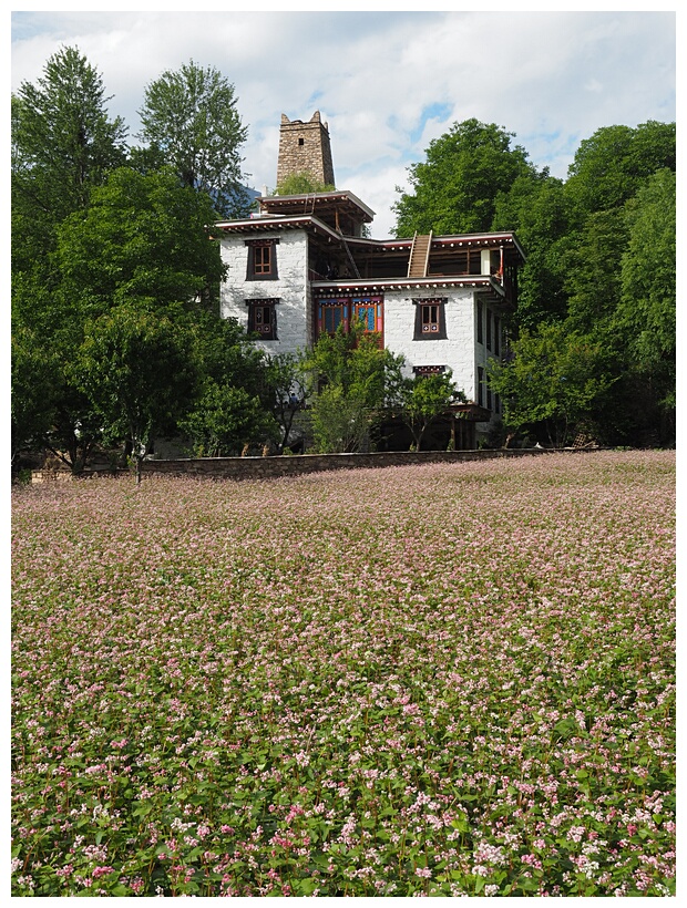 Zhonglu Village