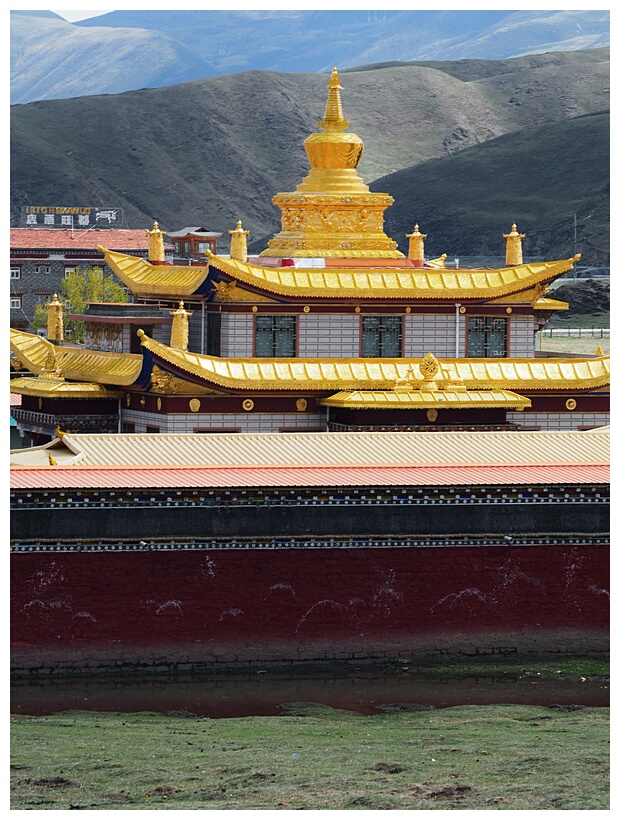 Muya Golden Tower 