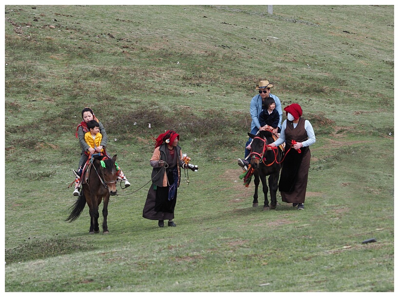 Horse Riding