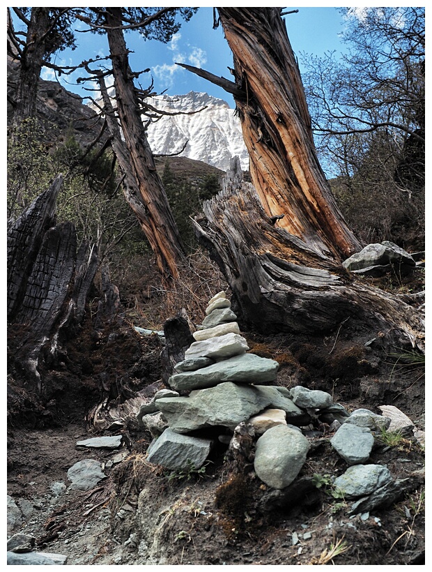 Yading Nature Reserve