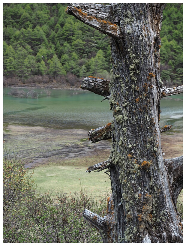 Yading Nature Reserve