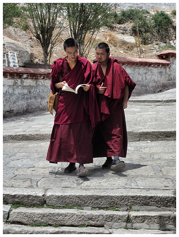 Drepung Monastery