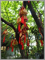 Kuan Xiangzi