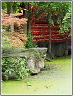 Kuan Xiangzi