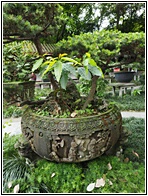 Renmin Park