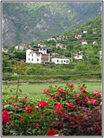 Zhonglu Village
