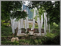 Zhonglu Village