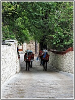 Zhonglu Village