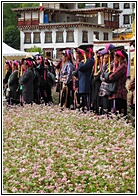 Zhonglu Village