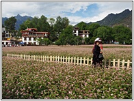 Zhonglu Village