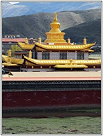 Muya Golden Tower 