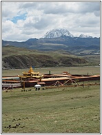 Muya Golden Tower 
