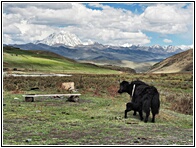 Tagong Grasslands