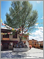 Litang Square