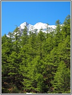 Yading Natural Reserve
