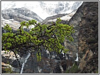 Yading Nature Reserve