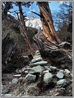 Yading Nature Reserve