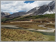 Luorong Pasture