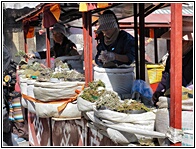 Selling Herbs